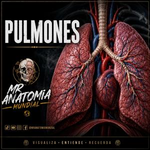 PULMONES