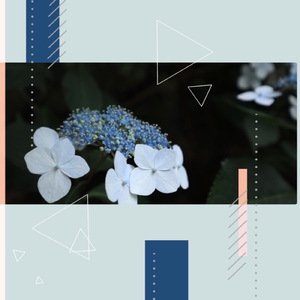 日かげのワルツ