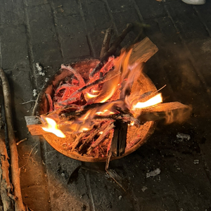 亲爱的卡布斯先生