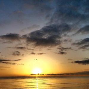 我的爱情更像是缝缝补补