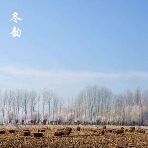 冬韵