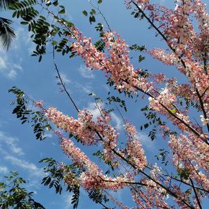 这是一首小情歌