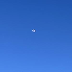 A Flicker In The Dark