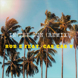 In the Sun (Remix)