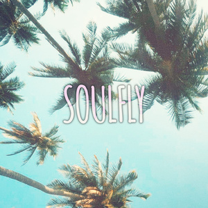 Soulfly