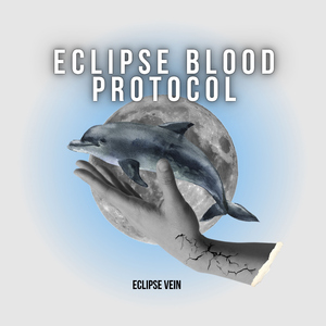 Midnight Blood Widow