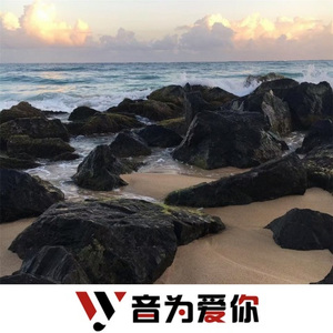 当想你成为习惯 (DJ版)