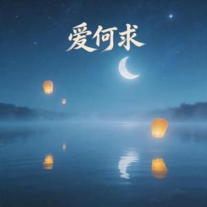 爱何求