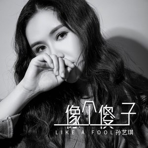 像个傻子(DJ版)