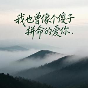 我也曾像个傻子拼命的爱你