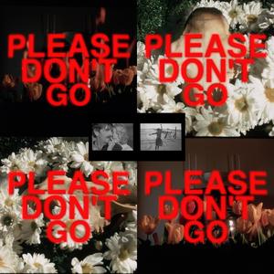 PLEASE DON'T GO