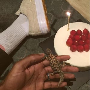 [FREE] “来点西瓜果汁” 西海岸x boombap type beat