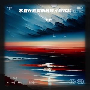 不要在寂寞的时候才想起我