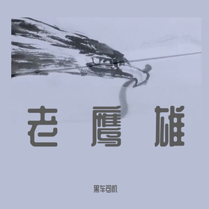 【Free Beat】老鹰熊