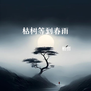 枯树等到春雨