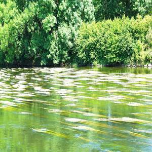 어린 아이처럼 맑아지는 피아노