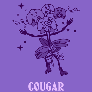 Cougar