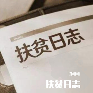扶贫日志