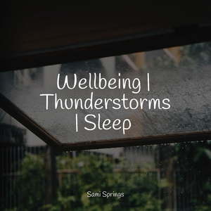 Camping Kettle on the Fire