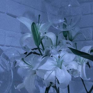 爱你不是两三天