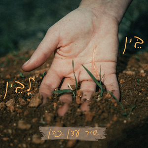 ככהאנימהנעשה