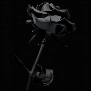 彦（prod by FRESH_ye）