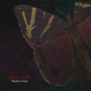 È un sofferto pulsare…