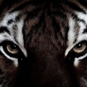 你们还不够格（PROD BY Red killer）