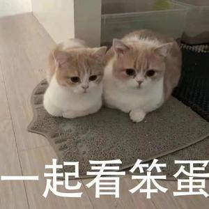 凡陈心望（prod.by BlackCatBeats）