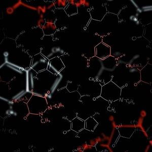 New boy(初三化学酸碱盐知识点)