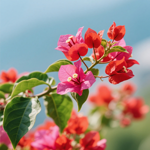 Angin Membangkitkan Dunia