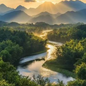 屋顶上的青苔（睡前催眠曲）