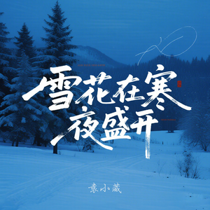雪花在寒夜盛开