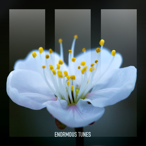 Nightingale (Extended Mix)