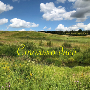 Столько дней