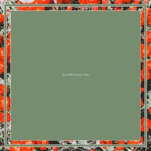 Convinced of the Sound