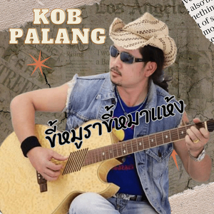 ขึ้หมูราขี้หมาแห้ง