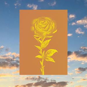 You Got A Little Peach Fuzz On Your Lip