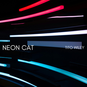 Neon cat