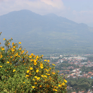 releksasi home (Acoustic)