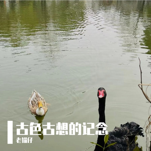 古色古想的记念