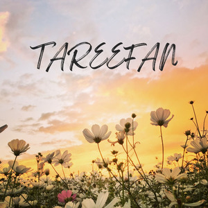 Tareefan