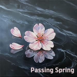 Sunshine And Butterflies