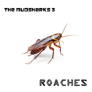 Roaches