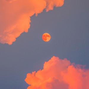 peace（世界和平）