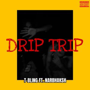 DRIP TRIP (feat. Narbhaksh)