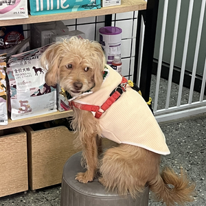 华夏神话与历史长卷