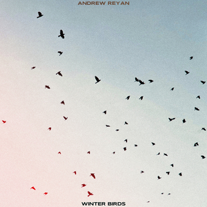 Winter Birds