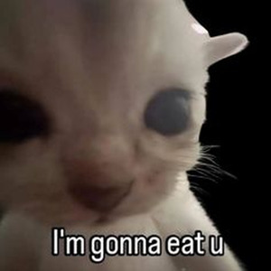 Hey Boy Hey Girl (sped up)