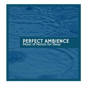 Pitapatting Rain Audio